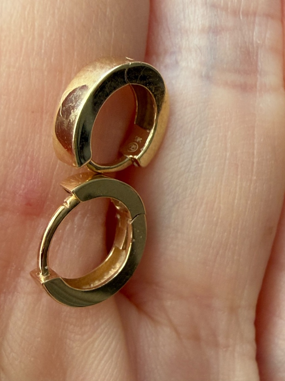 14K Gold Gorjana Earrings